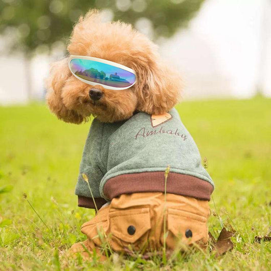 Gafas de Sol UV para Mascotas - Protección Ocular Canina - Image 2