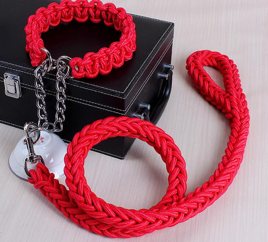 Collar para Perro Resistente y Cómodo - Image 15