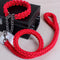 Perro Collar Rojo L