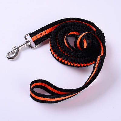 Correa Elástica de Tracción para Perros Outdoor - Image 13