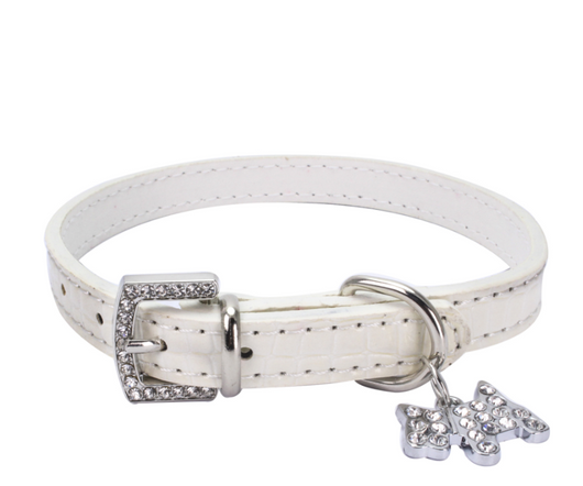 Dije Encantador de Cachorro con Cadena para Collar de Perro - Image 7