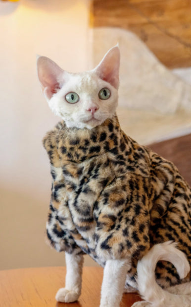 Ropa Térmica para Gatos sin Pelo - Abrigo Corto de Felpa Leopardo - Image 10