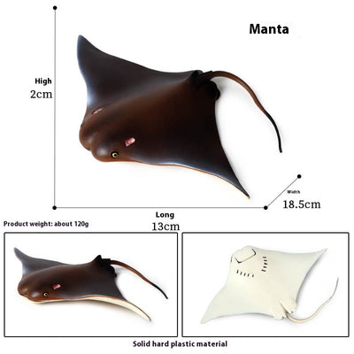 Juego Educativo de Animales Marinos Realistas para Niños - Image 6