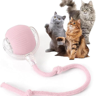 Blue and clear interactive cat ball toy with a rope, shown with three playful cats in the background. - Image 11