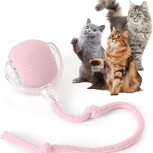 Blue and clear interactive cat ball toy with a rope, shown with three playful cats in the background. - Image 11