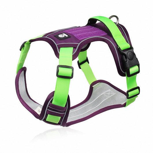 Arnés Reflectivo de Pecho para Perros Grandes con Protección de Impacto - Image 11