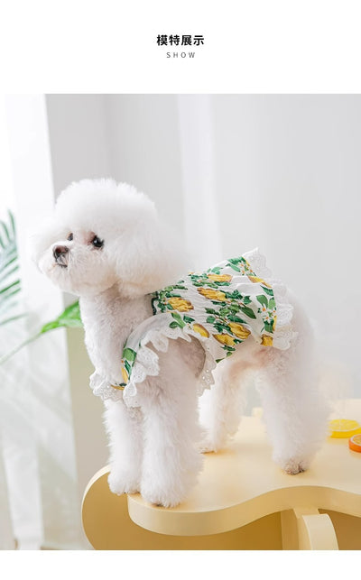 Falda Arnés Transpirable para Perros - Ropa Ligera y Cómoda - Image 10