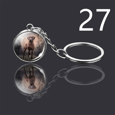 Llavero Colgante de Cristal Doble Cara Luminoso para Mascotas - Image 18