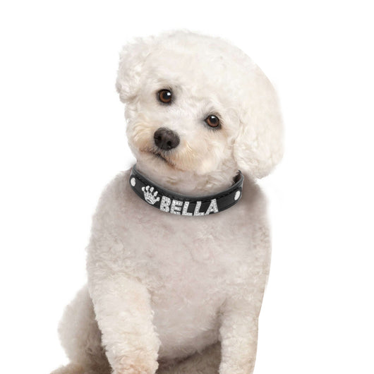 Collar Personalizado para Perros Pequeños con Strass Brillante - Image 21