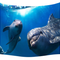 Tapiz Decorativo Marino con Delfín, Estrella de Mar y Tortuga en Barco
