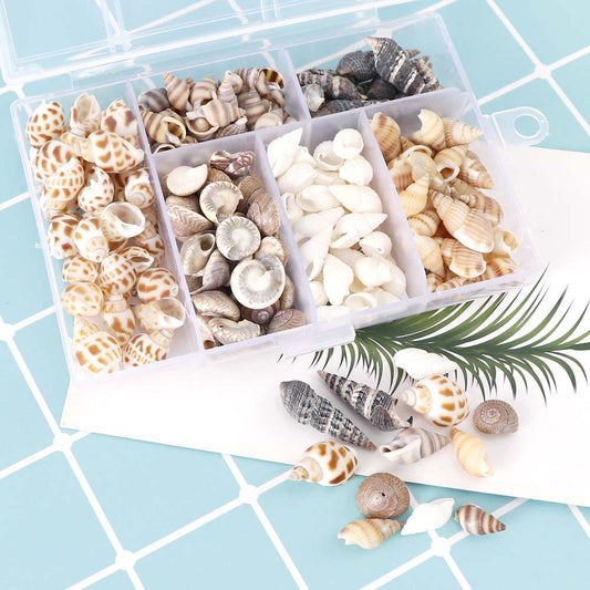 Caracoles Naturales Miniatura para Acuario - Decoración de Paisaje Acuático