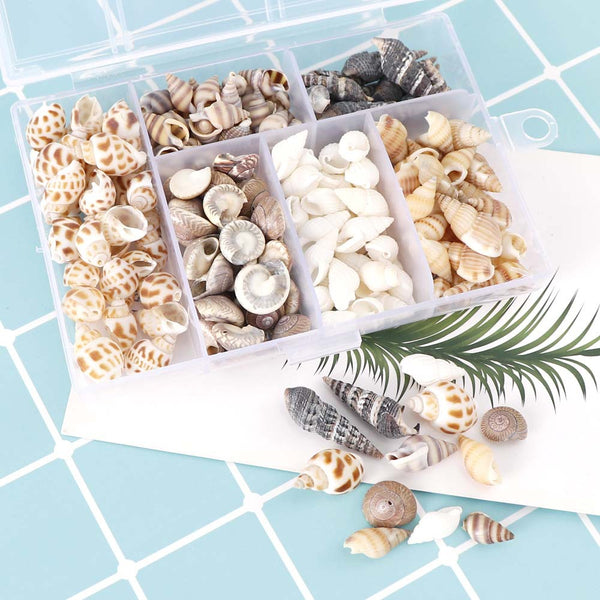 Caracoles Naturales Miniatura para Acuario - Decoración de Paisaje Acuático
