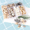 Caracoles Naturales Miniatura para Acuario - Decoración de Paisaje Acuático