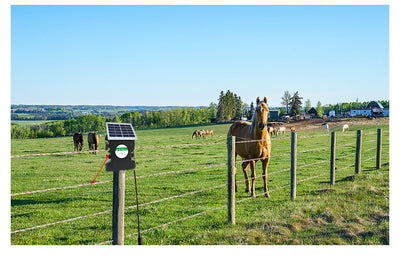 Cerco Eléctrico Solar de Alto Voltaje con Energía Renovable - Image 20
