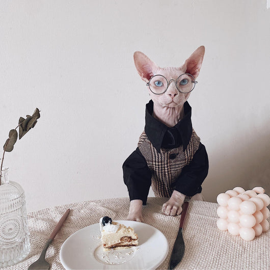 Traje Elegante para Gatos Sphynx y Razas sin Pelo - Image 5