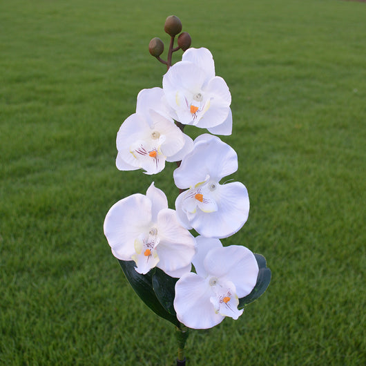 Luz Solar LED Flor Orquídea con 5 Cabezales - Image 15