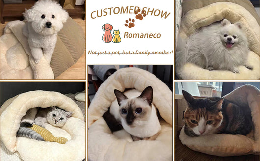 Cama Cálida para Perros y Gatos - Cueva Acogedora de Felpa Suave con Aislamiento Térmico - Image 9
