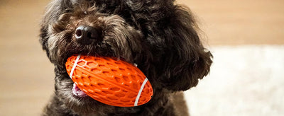 Juguete de Rugby Resistente para Perros Grandes - Diseño Duradero con Sonido Chirriante - Image 17
