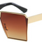 C16 Polarizer
