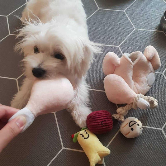 Juguete Interactivo para Perros y Gatos con Sonido Chirriante - Image 2