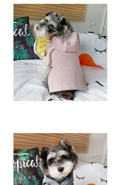 Ropa Abrigadora para Mascotas Pequeñas - Abrigo Teddy para Perros y Gatos Otoño Invierno - Image 19