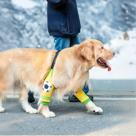 Traje de Rehabilitación Canino con Protección de Articulaciones - Image 7