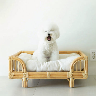 Cama para Perro de Ratán Natural Tejida a Mano - Diseño Minimalista - Image 8