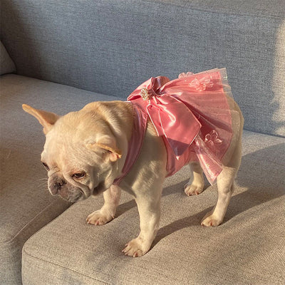 Falda Mesh para Mascotas con Diseño de Perros, Gatos y Moño de Perlas - Image 12