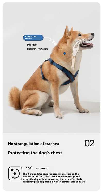 Cuerda Interactiva para Perros Corgi y Shiba Inu - Juguete de Tracción Doble - Image 13