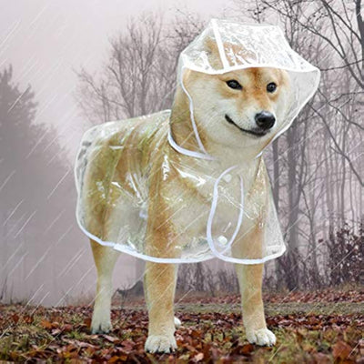 Impermeable Transparente para Perros Pequeños y Medianos con Capucha - Image 8