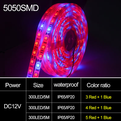 Barra LED de Crecimiento 5050 Luz Suave 5M para Plantas - Image 11