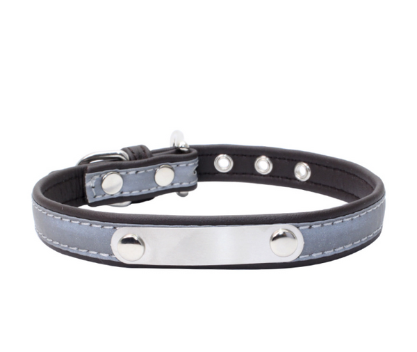 Collar Antiextravío para Perros en Acero Inoxidable con Grabado Personalizado