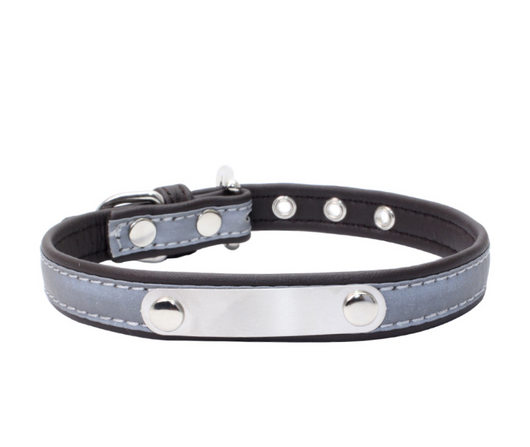 Collar Antiextravío para Perros en Acero Inoxidable con Grabado Personalizado - Image 2