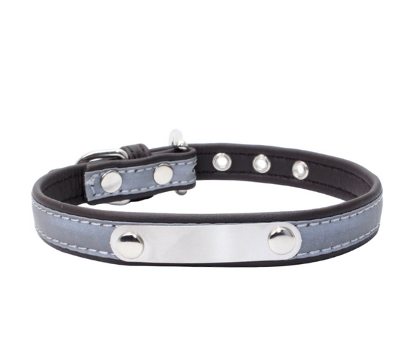 Collar Antiextravío para Perros en Acero Inoxidable con Grabado Personalizado