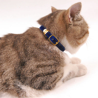 Collar para Gato Premium - Image 2