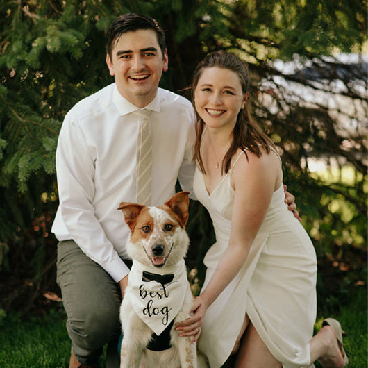 Pañuelo Triangular para Mascotas en Bodas y Eventos - Image 9
