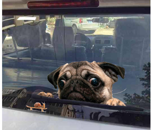 Adhesivo 3D para Auto - Caracol Pug Divertido