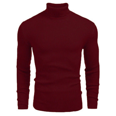 Suéter Cuello Alto Ajustado de Manga Larga para Hombre - Image 10