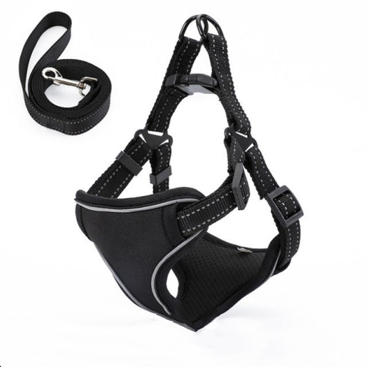 Arnés Chaleco para Pasear Perros con Cuerda Integrada - Image 3