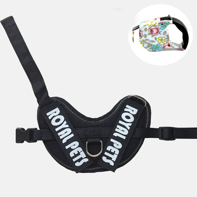 Chaleco de Arnés para Mascotas con Cuerda de Tracción - Image 5