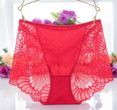 Bragas de Encaje Elegantes - Image 11
