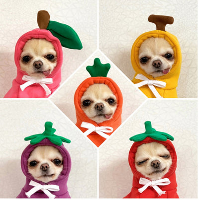 Sudadera con Capucha para Perros Pequeños - Abrigo Polar Verde Otoño Invierno - Image 3