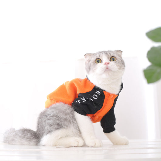 Ropa de Abrigo para Cachorros - Colección Otoño Invierno - Image 5