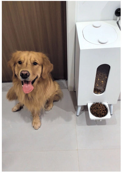 Comedero de Madera para Mascotas Gran Capacidad - Image 8