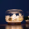 Lámpara Aromática de Cristal Four Seasons - Luz Nocturna Decorativa de Montaña