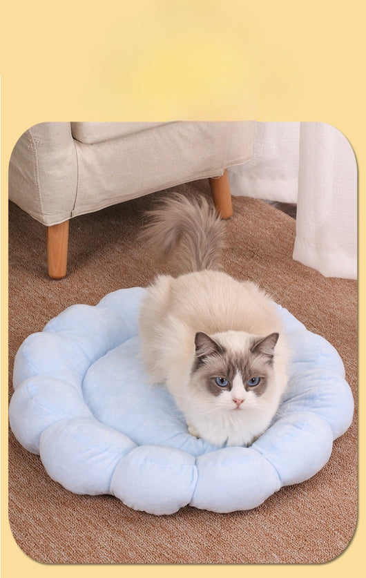 Cama Nido Doble Cara para Perros y Gatos 50x50cm - Diseño Pétalos Multicolor - Image 12