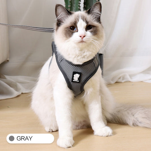 Arnés Antitirones para Gatos con Correa de Seguridad - Image 20