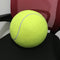 Pelota de Tenis Gigante para Perros