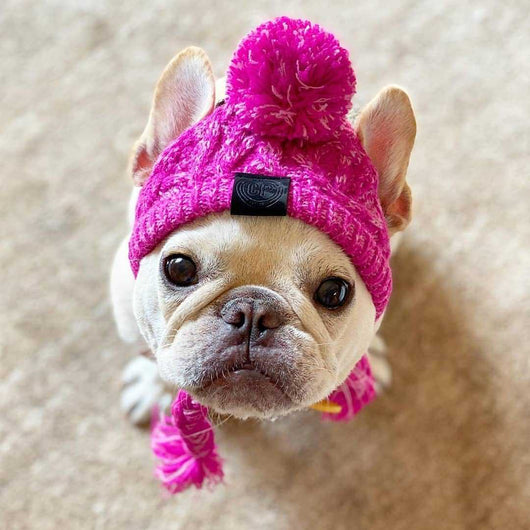 Gorro Tejido para Perros con Bola Peluda - Cálido y Resistente al Viento - Image 2