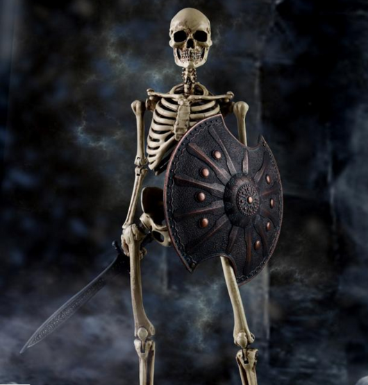 Modelo Anatómico de Esqueleto en Miniatura - Image 12